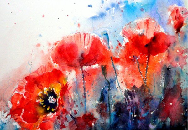 Яркие цветы акварель