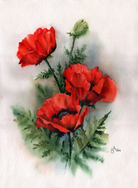 Анастасия Беседина ирисы