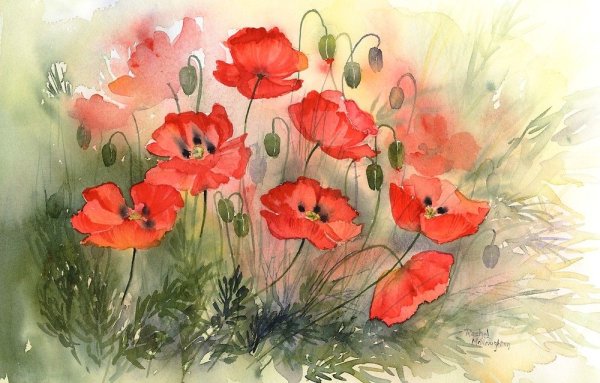 Рэйчел МАКНОТОН художник