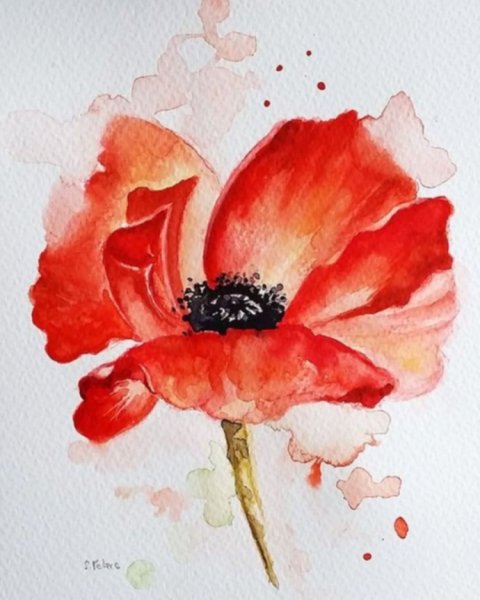 Цветы акварель