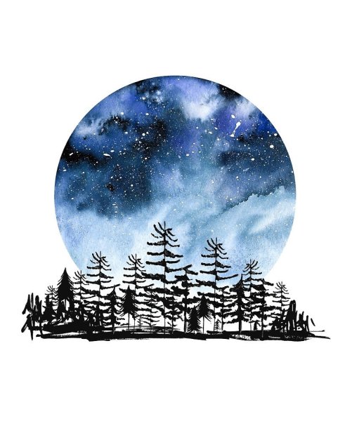 Круг в природе