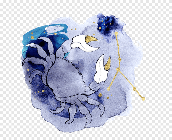 Акварельные знаки зодиака