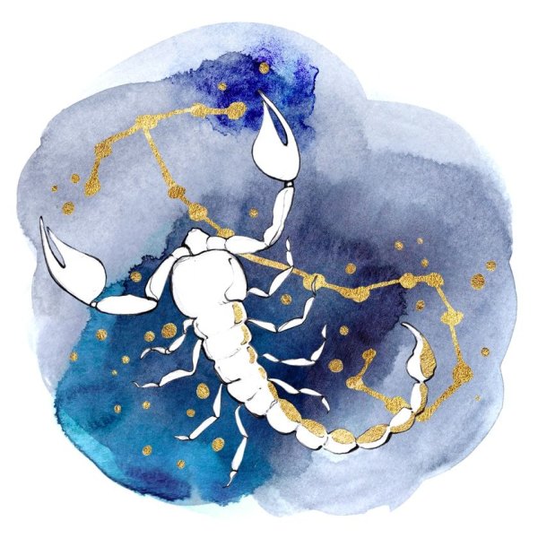 Знаки зодиака акварель