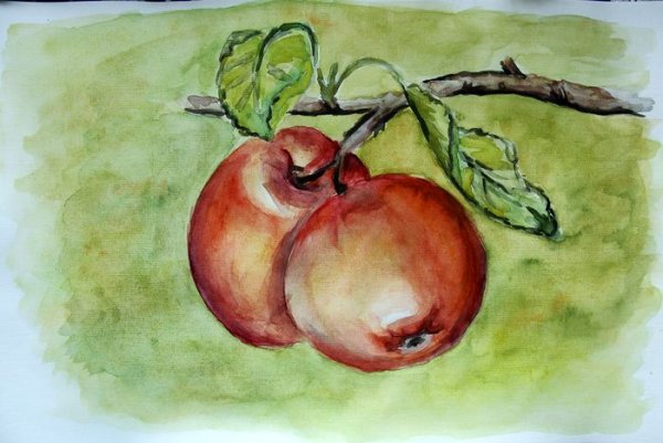 Яблоко акварелью для начинающих