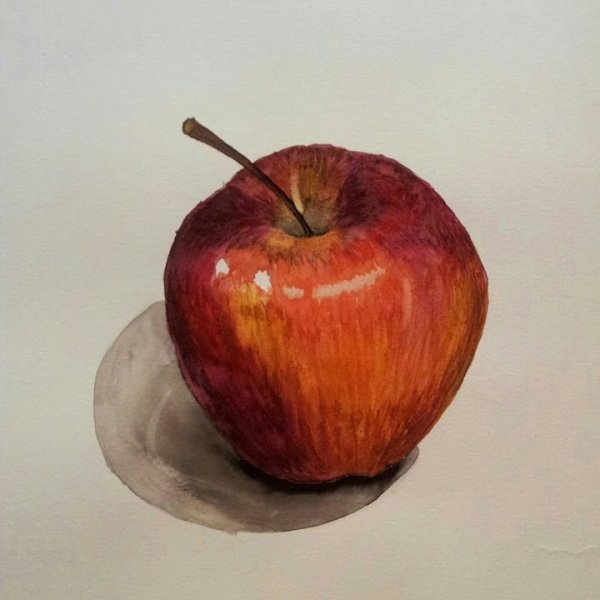 Яблоко акварелью Андрияка