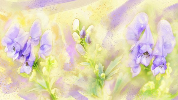 Цветы Альберто Гильен