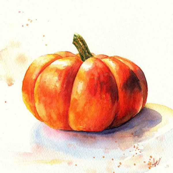 Референс тыквы акварелью
