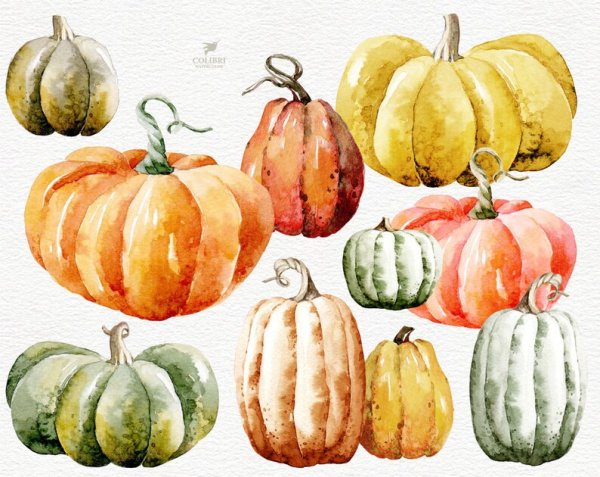 Тыква акварелью