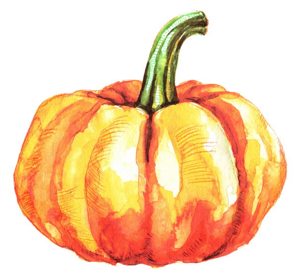 Тыква акварелью