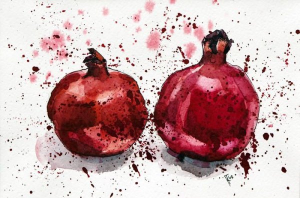 Pomegranate Aquarell