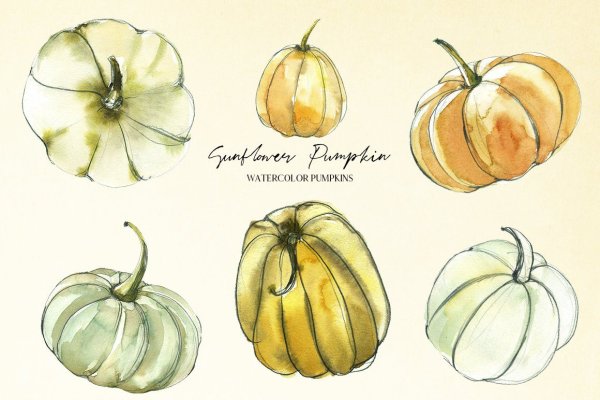 Акварельный скетч тыква