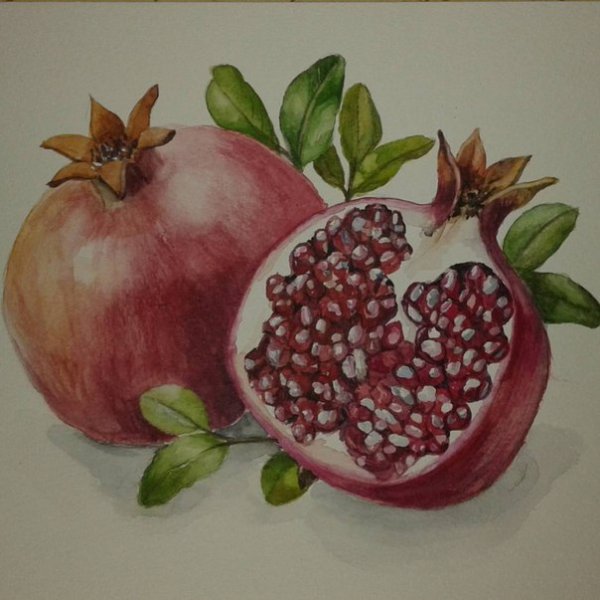 Гранат акварелью