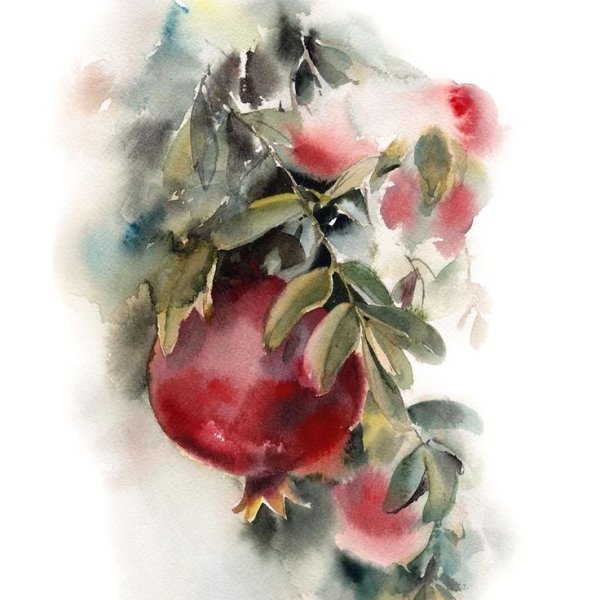 Гранат акварелью алаприма