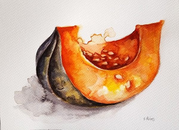 Кусок тыквы акварелью