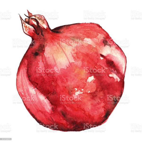 Рисунка акварелью лёгкие гранат