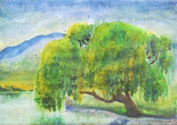Ива гуашью