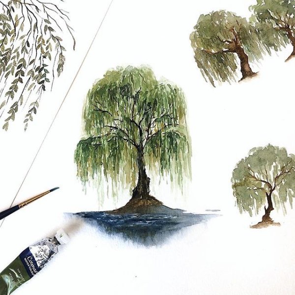 Живопись дерево плакучая Ива