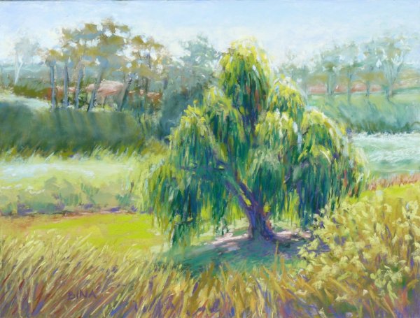 Живопись дерево плакучая Ива