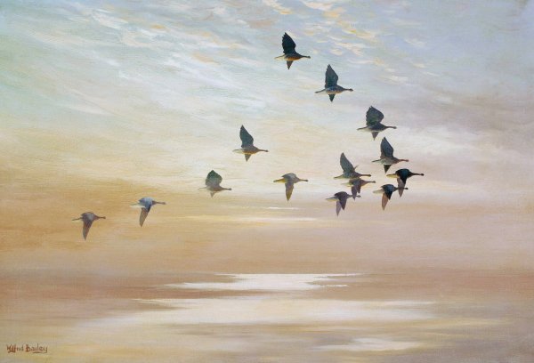 Соколов Микитов улетают Журавли