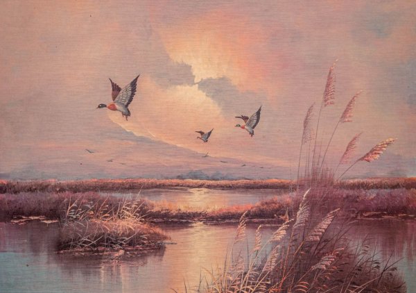 Птицы над рекой живопись