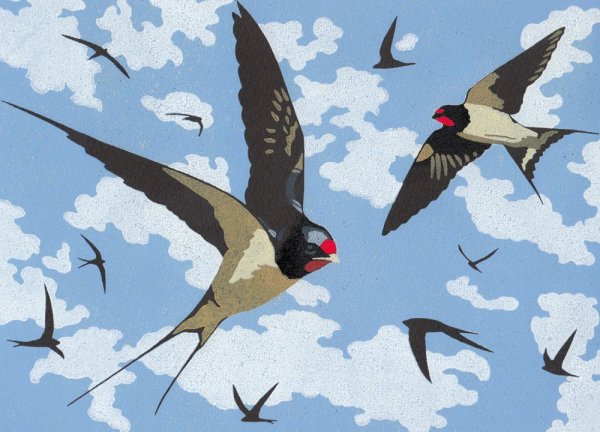 Ласточки кружатся