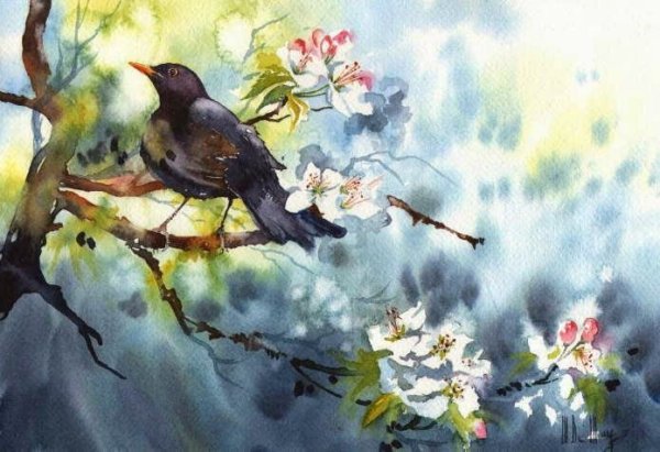 Maryse de May акварель