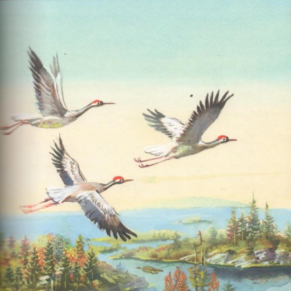 Соколов Микитов улетают Журавли