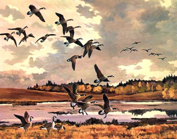 Никита гусятник 28 сентября