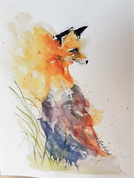 Лисичка рисование акварелью