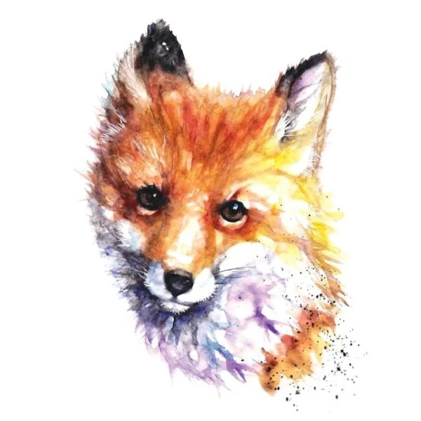 Акварельные лисички