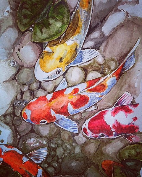 Японские рыбки кои