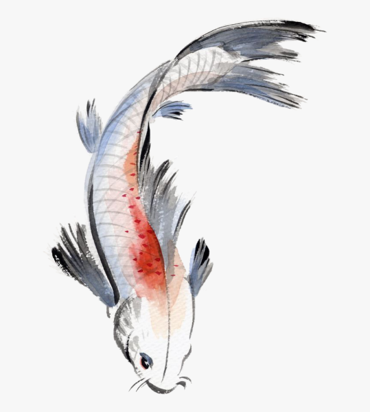 Гохуа карпы кои