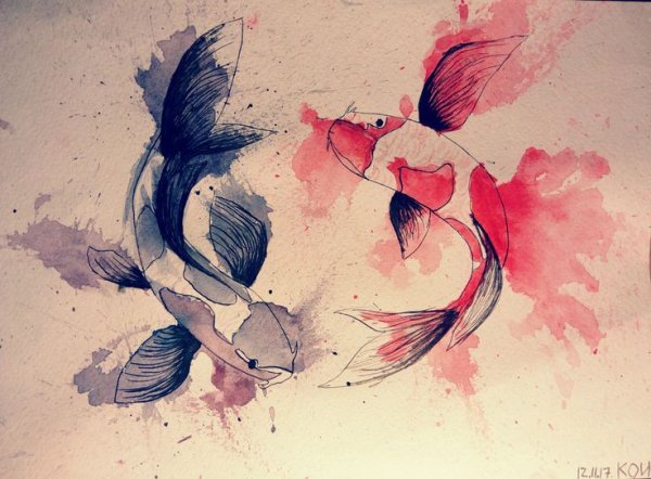 Карпы кои акварель