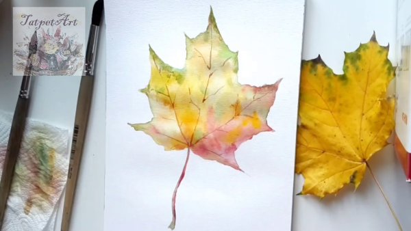 Акварелью для начинающих кленовый лист