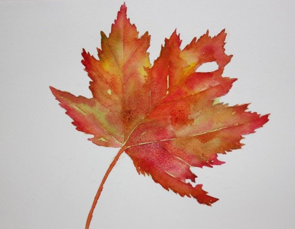 Лессировка акварель листья