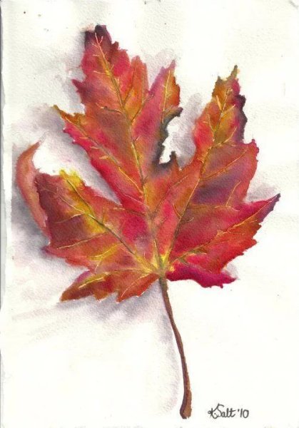 Осенние листья акварель