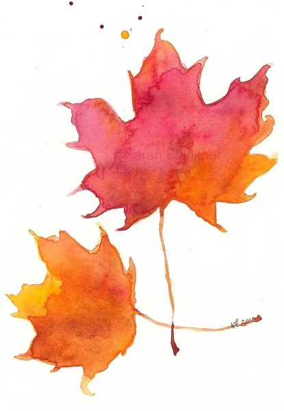 Листья клена акварелью