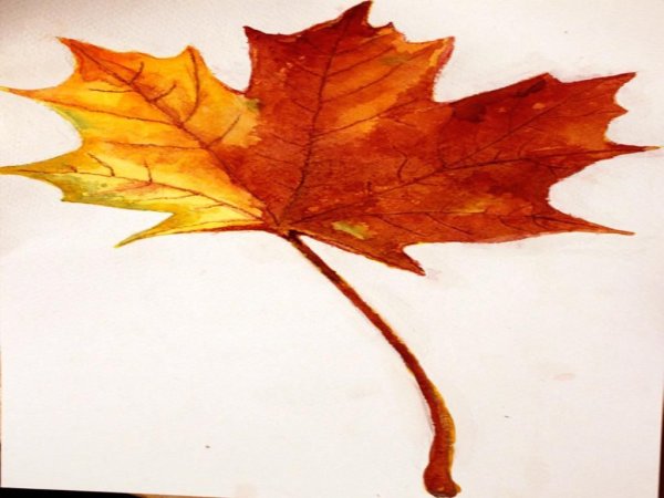 Реалистичные листья акварелью