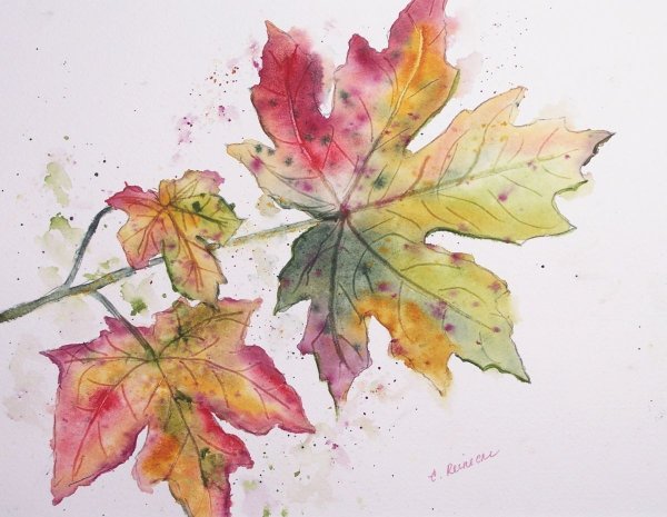 Кленовый лист красками