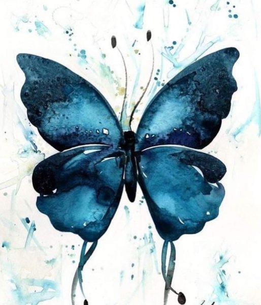 Акварель "бабочка"