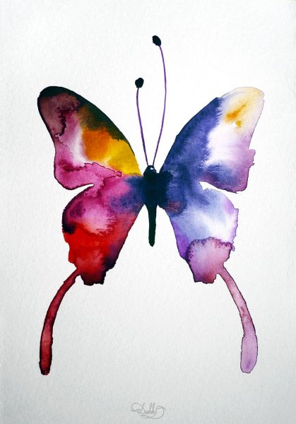 Акварель "бабочка"