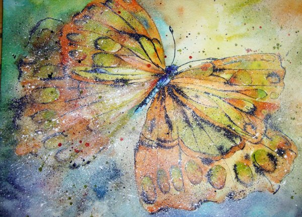 Бабочки живопись акварелью