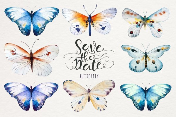 Акварель "бабочка"