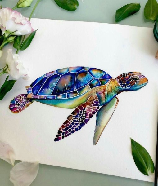Морская черепаха акварель
