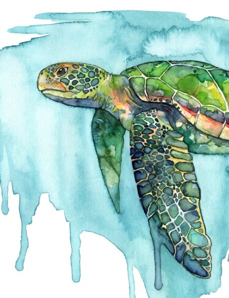 Черепаха скетчинг маркерами