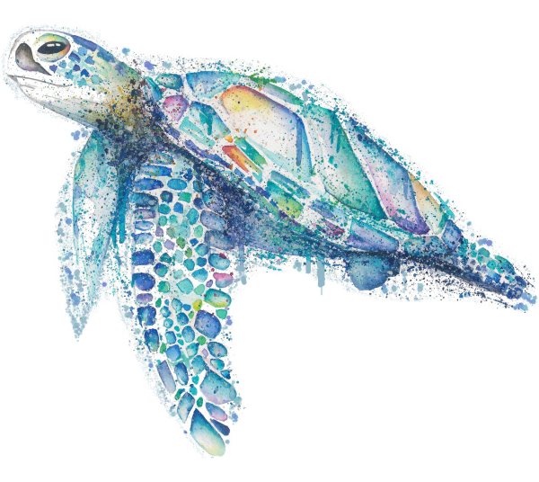 Черепаха акварелью