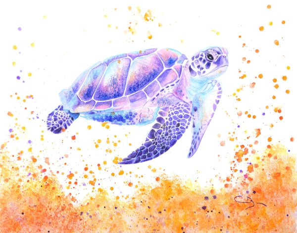 Черепаха акварелью
