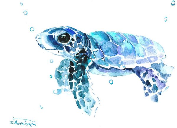Морская черепаха акварель