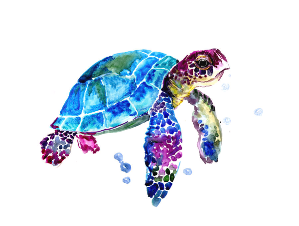 Черепаха акварелью