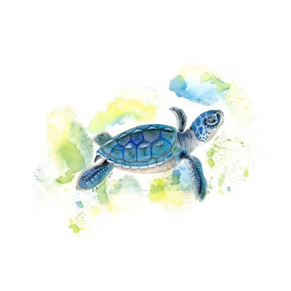 Морская черепаха акварель